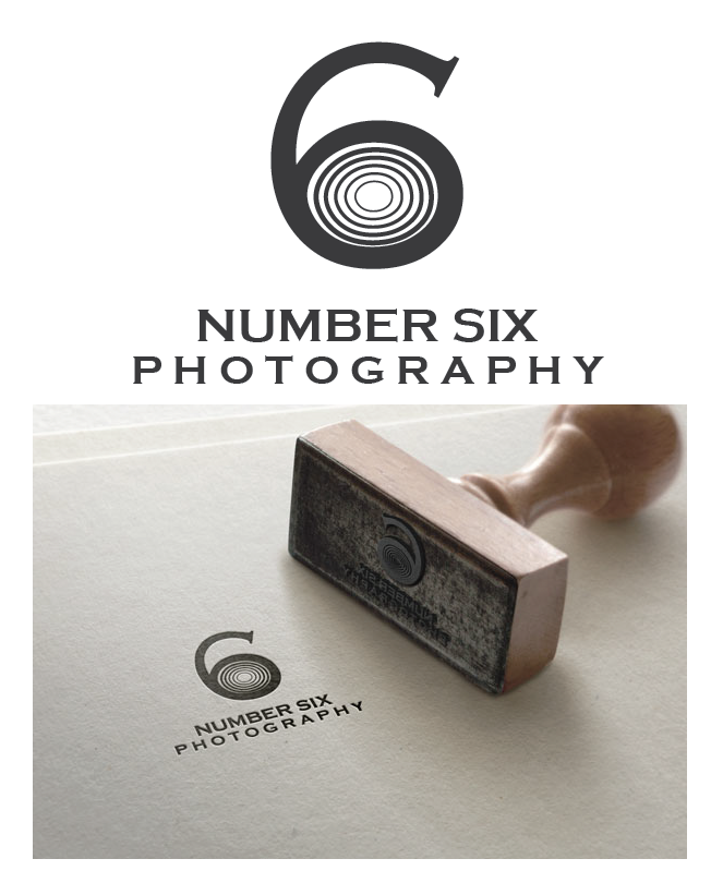 Logo Design by Shirlei Patricia for this project | Design #4803282