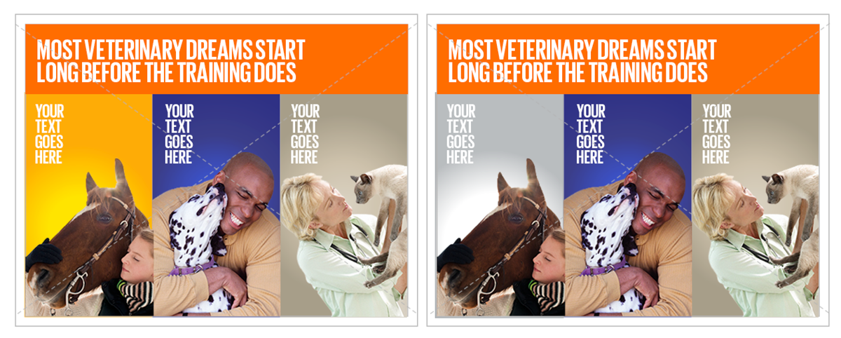 Postcard Design by DC Studio Design for this project | Design #4778798
