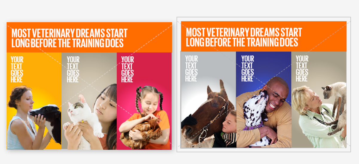 Postcard Design by DC Studio Design for this project | Design #4779015