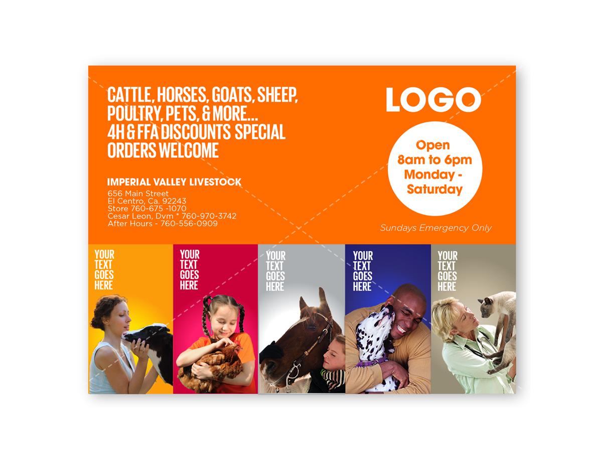 Postcard Design by DC Studio Design for this project | Design #4805447
