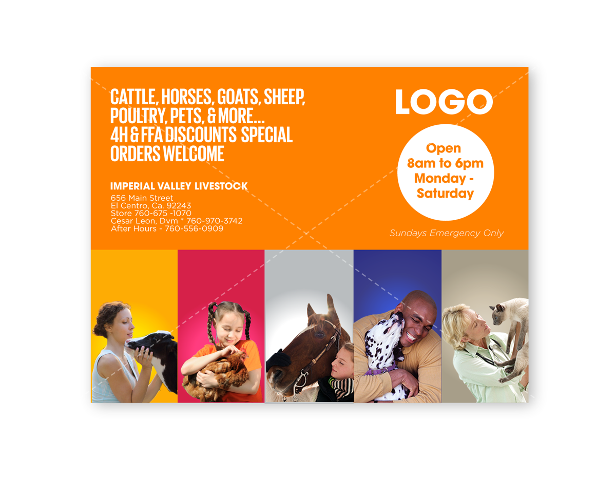Postcard Design by DC Studio Design for this project | Design #4805456