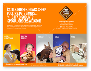 Postcard Design by DC Studio Design for this project | Design: #4866830