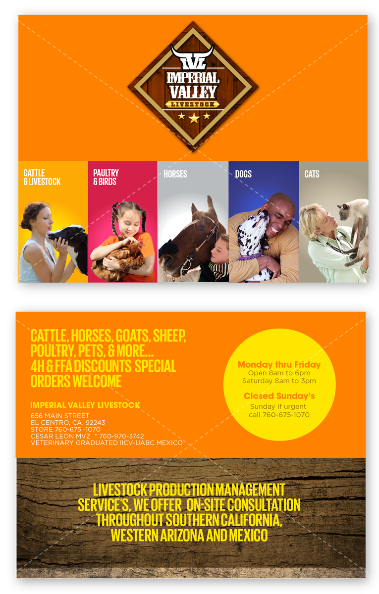Postcard Design by DC Studio Design for this project | Design: #4867718