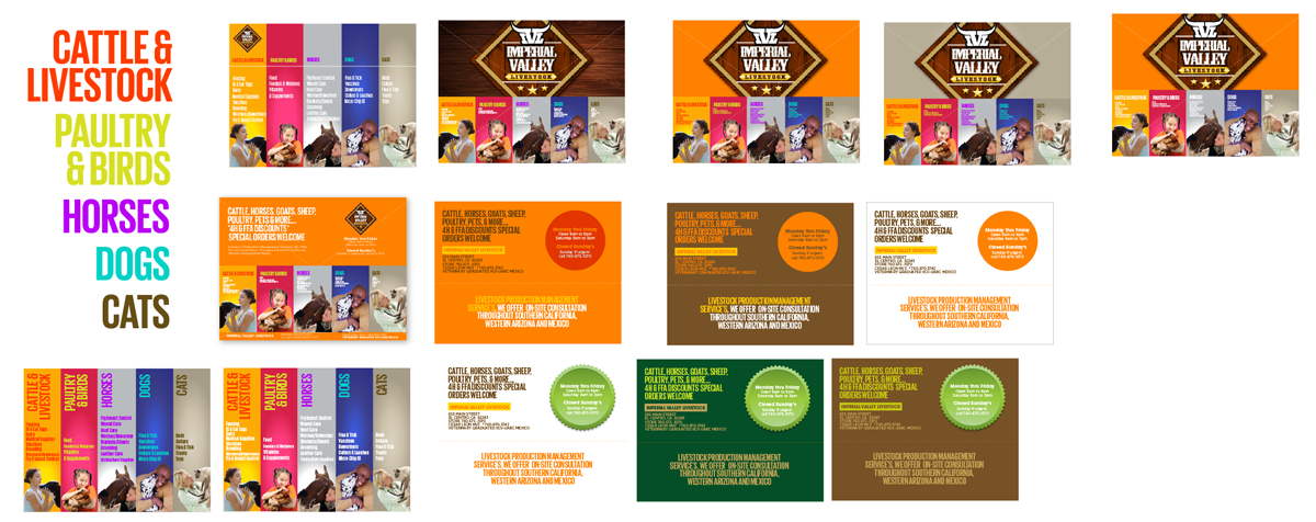 Postcard Design by DC Studio Design for this project | Design #5075077