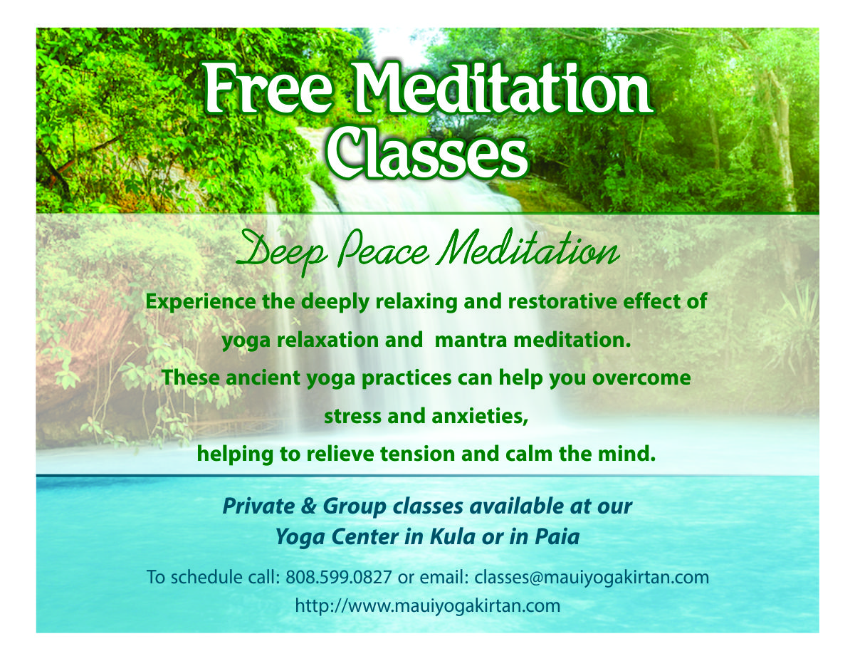 Poster Design by qnarik1987 for Pickle Baller Depot | Design #4790896