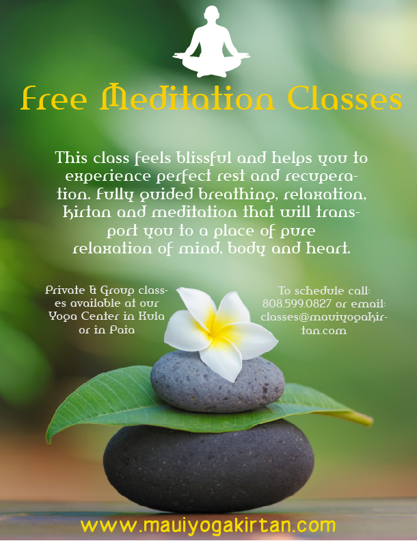 Poster Design by Kristijan Trajchev for Pickle Baller Depot | Design #4822797