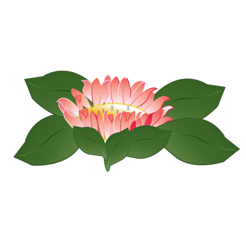 T-shirt Design by ktgrandy for Hawaiian Print Tank Tops | Design #1353171