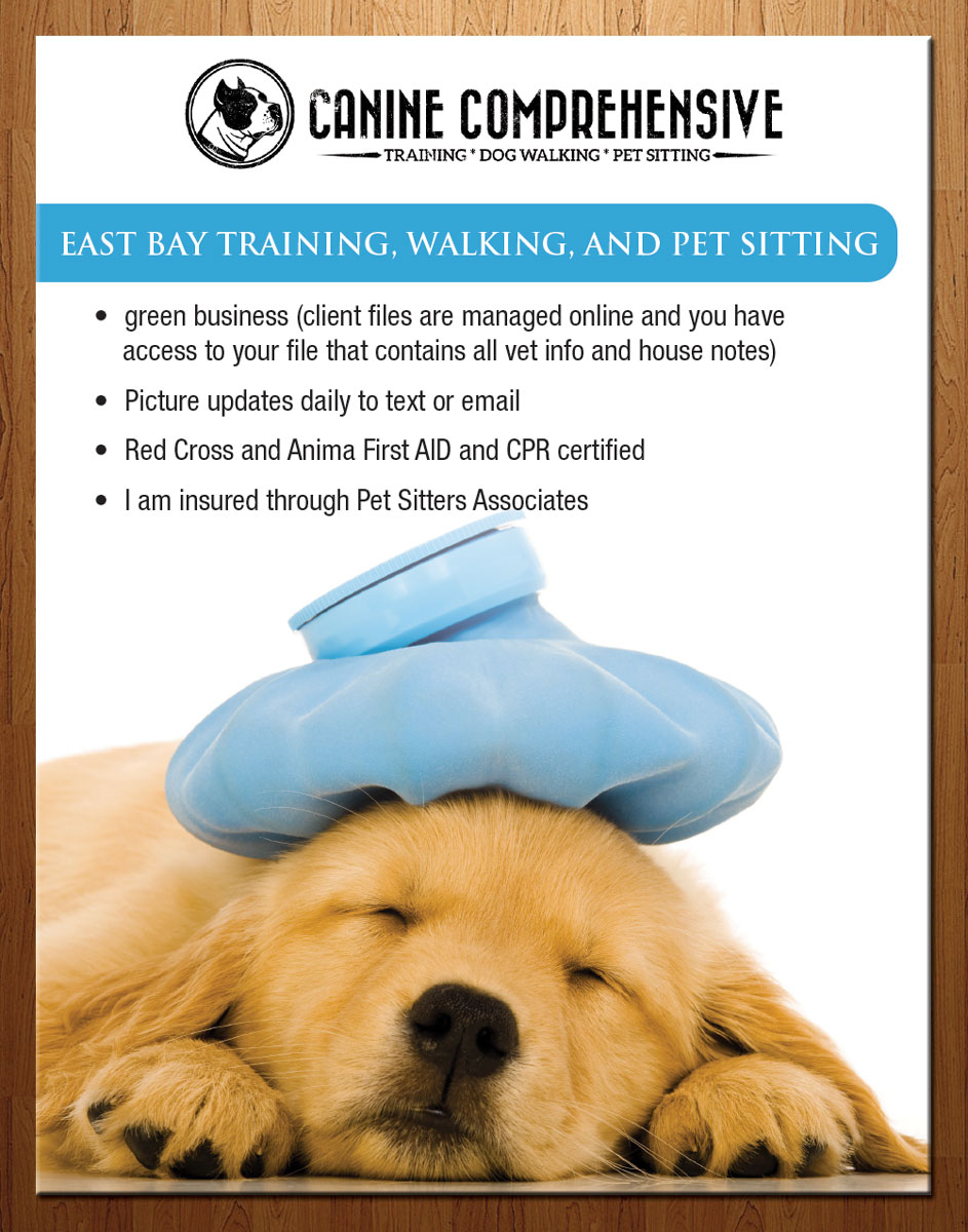 Flyer Design by theblueart for Canine Comprehensive | Design #4775804