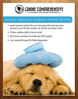Design de Flyer par theblueart pour Canine Comprehensive | Design : #4775804