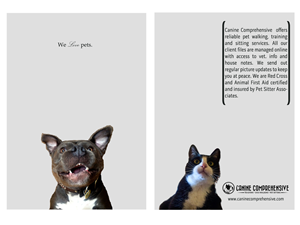 Flyer Design by Distant Design