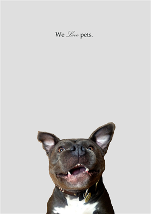 Design de Flyer par Distant Design pour Canine Comprehensive | Design : #4799285