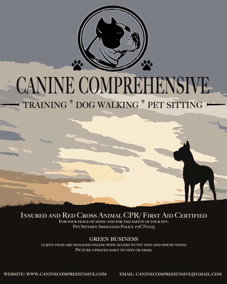 Design de Flyer par SCPulley pour Canine Comprehensive | Design : #4777041
