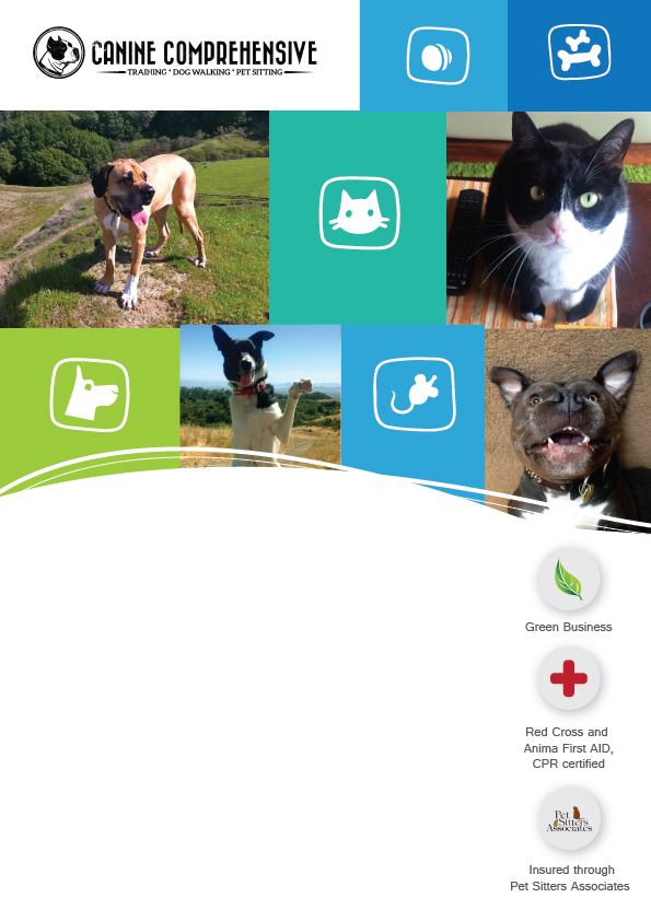 Flyer Design by Sigita for Canine Comprehensive | Design #4768930