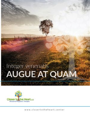 Brochure Design by designbox