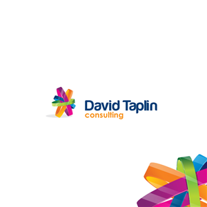 David Taplin Consulting | Logo Design by Little Sofi