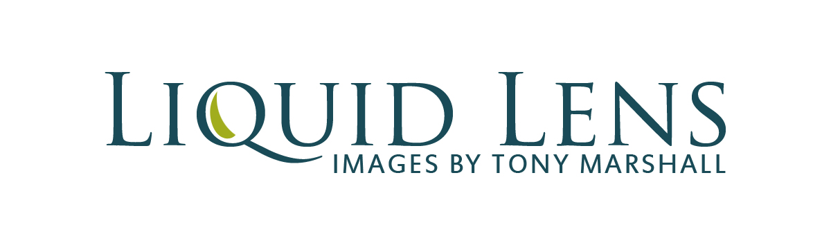 Logo Design by Deli for Liquid Lens | Design #4799410