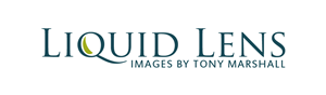 Logo Design by Deli for Liquid Lens | Design: #4799410