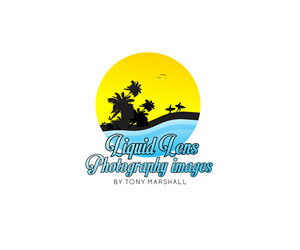 Design de Logo par yani hidayat pour Liquid Lens | Design : #4797712