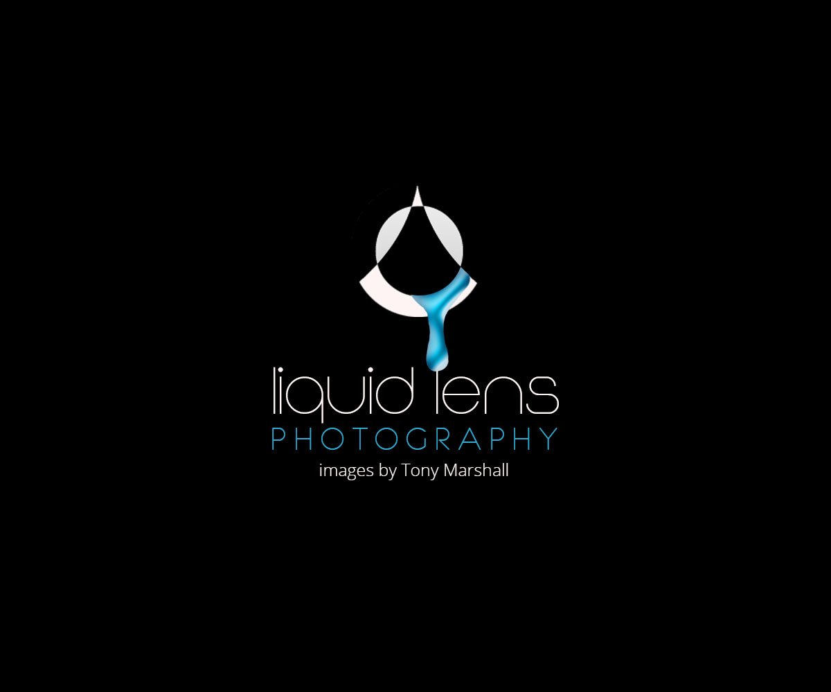 Diseño de Logo por ZETA para Liquid Lens | Diseño #4808681
