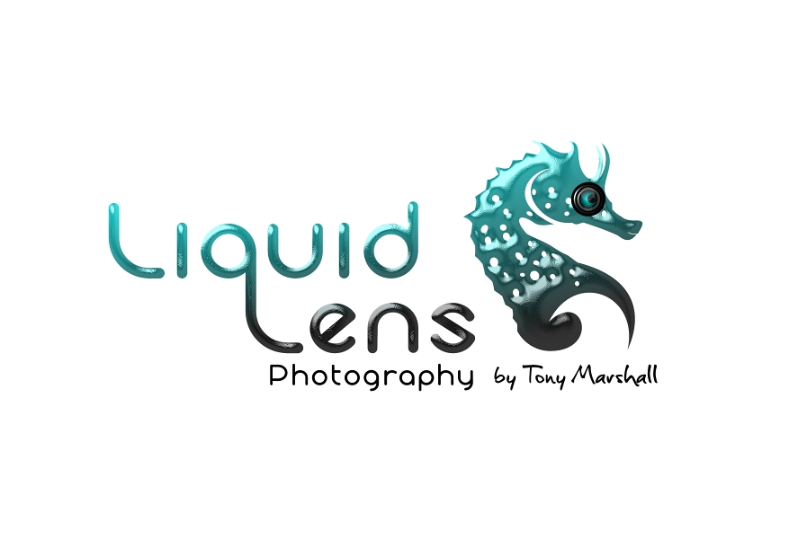 Logo Design by Fabio Piscicelli for Liquid Lens | Design #4785180