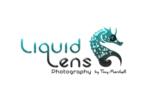 Logo Design by Fabio Piscicelli for Liquid Lens | Design: #4785180