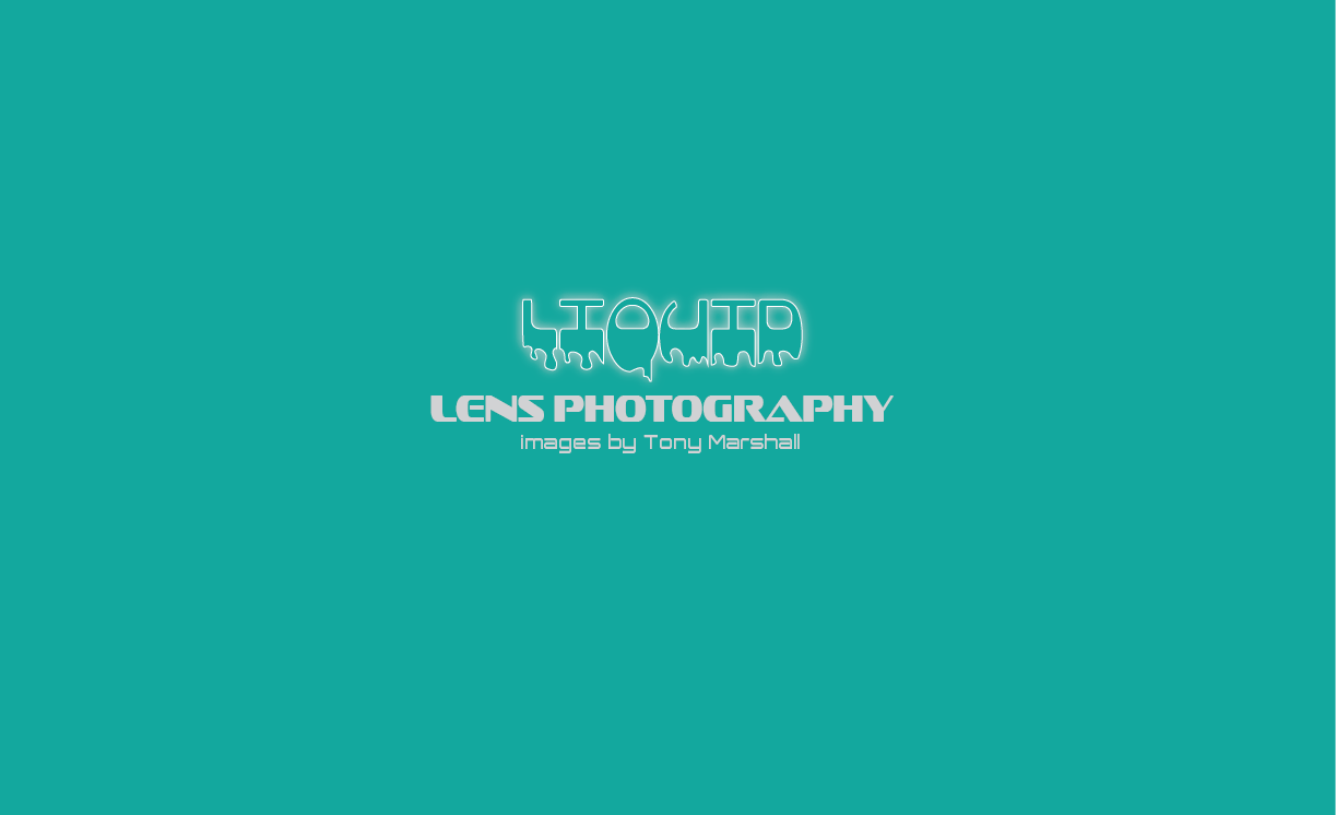 Logo Design by jizzy123 for Liquid Lens | Design #4790273