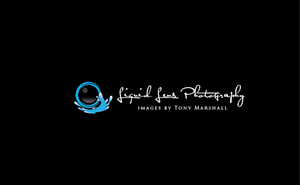Logo Design by Dreamdesign007 for Liquid Lens | Design: #4819695
