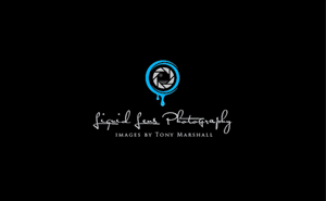 Logo Design by Dreamdesign007 for Liquid Lens | Design: #4819968