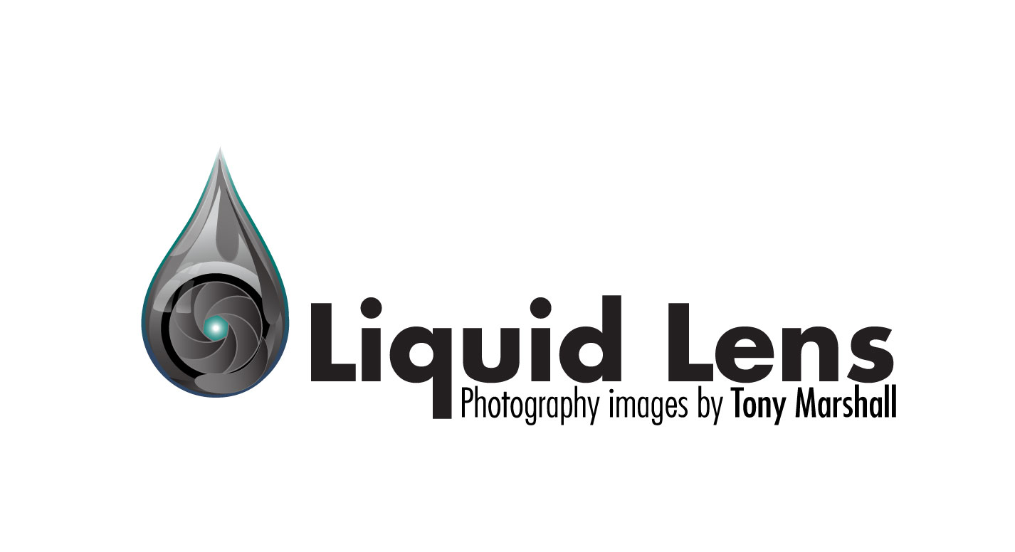 Logo-Design von HAMDIYA für Liquid Lens | Design #4822693