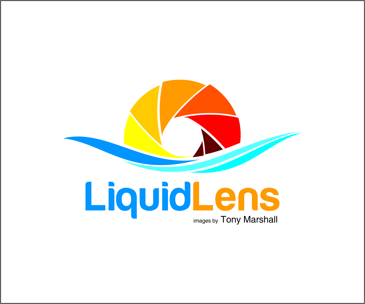 Logo Design by Shreyas Arts for Liquid Lens | Design #4783206
