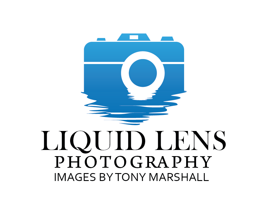 Logo Design by Hazeem Muhammed for Liquid Lens | Design #4815822