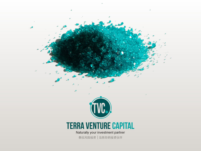 Logo Design by Stobart Creative for this project | Design #4874532