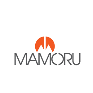 Logo Design by CMG Designs