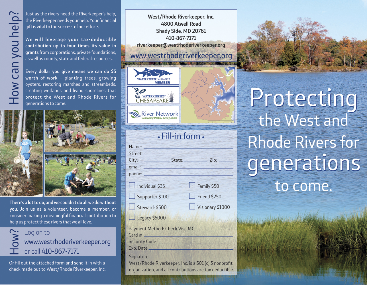 Brochure Design by dejan_dzamtovski for Water Words That Work LLC | Design #4872516