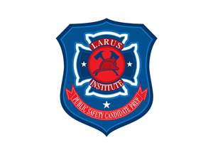 Logo Design by Spark Shell