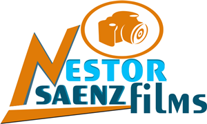 Logo Design by microswiftsoft