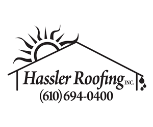 Logo Design by Brian Ellis for this project | Design: #4848911