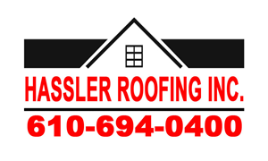 Logo Design by stevestuff for this project | Design #4791077