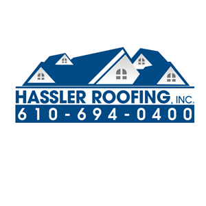 Logo Design by xcellence for this project | Design #4807465