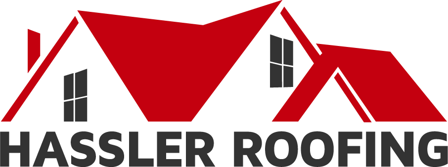 Design de Logo par binnyagrawal pour ce projet | Design #4790865