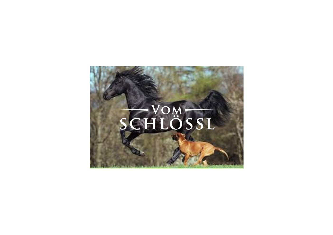 Design de Logo par tomy93 pour ce projet | Design #5057880