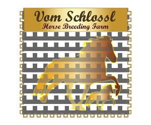 Design de Logo par razinaathar pour ce projet | Design : #5110123