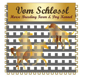 Design de Logo par razinaathar pour ce projet | Design : #5111726