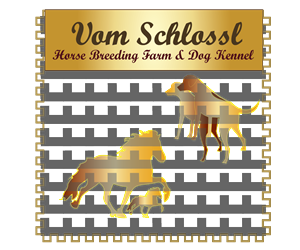 Design de Logo par razinaathar pour ce projet | Design : #5111746