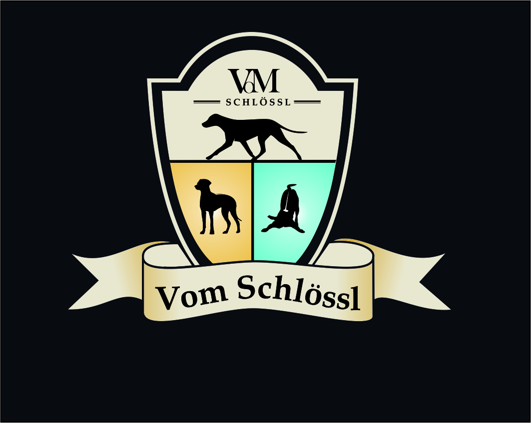 Design de Logo par zuliansorci pour ce projet | Design #5096639