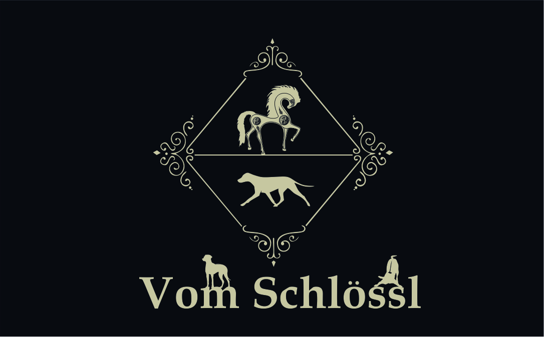 Design de Logo par zuliansorci pour ce projet | Design #5096663