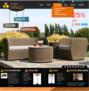 Web Design by peter witu