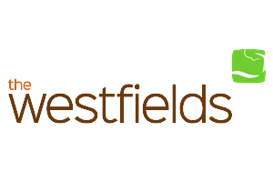 Logo Design by Lumin Design