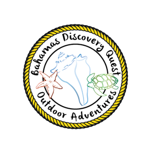 Logo Design by bmeza569
