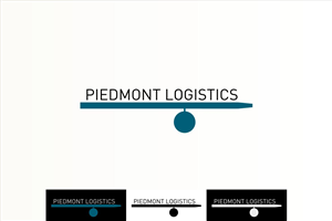 Logo Design by egebalkis
